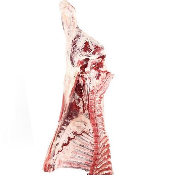 Frozen Beef Body Carcass Split