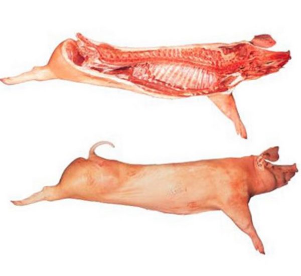 Frozen Pork Carcass without Head